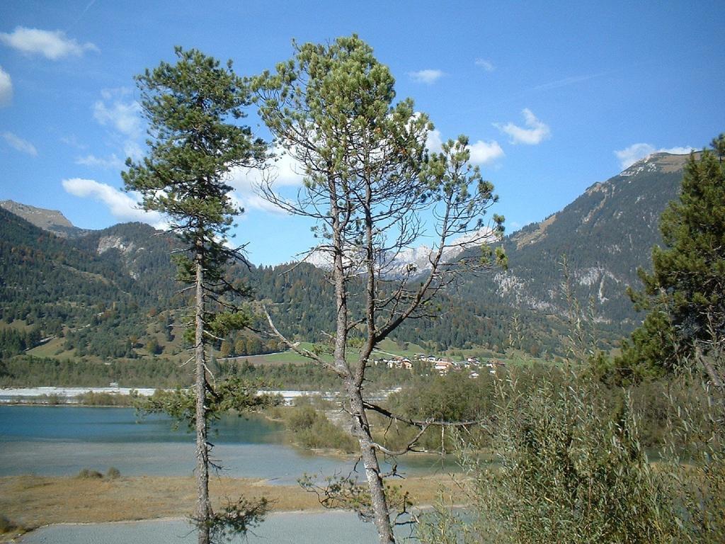 Ferienhaeuschen Kathrein Ehenbichl Quarto foto