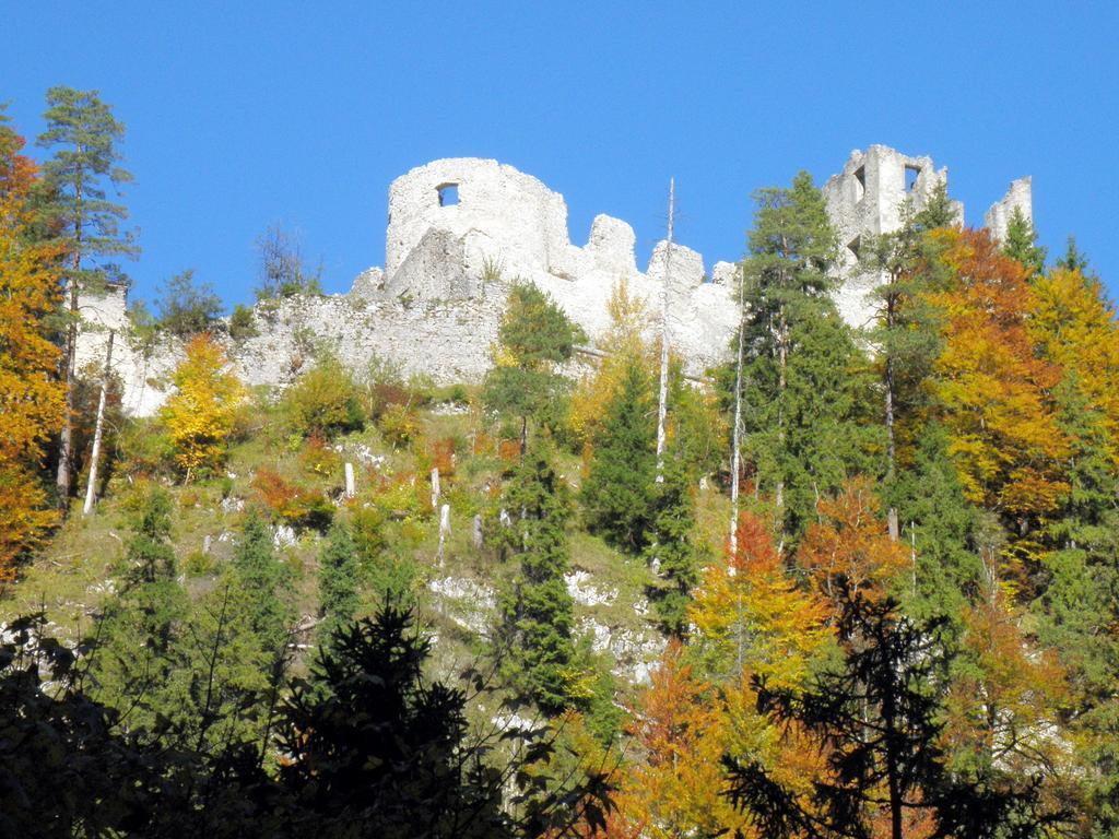 Ferienhaeuschen Kathrein Ehenbichl Quarto foto